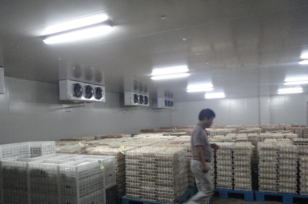 禽蛋放置在保鮮冷庫的存儲方法和注意事項(xiàng)(圖1)