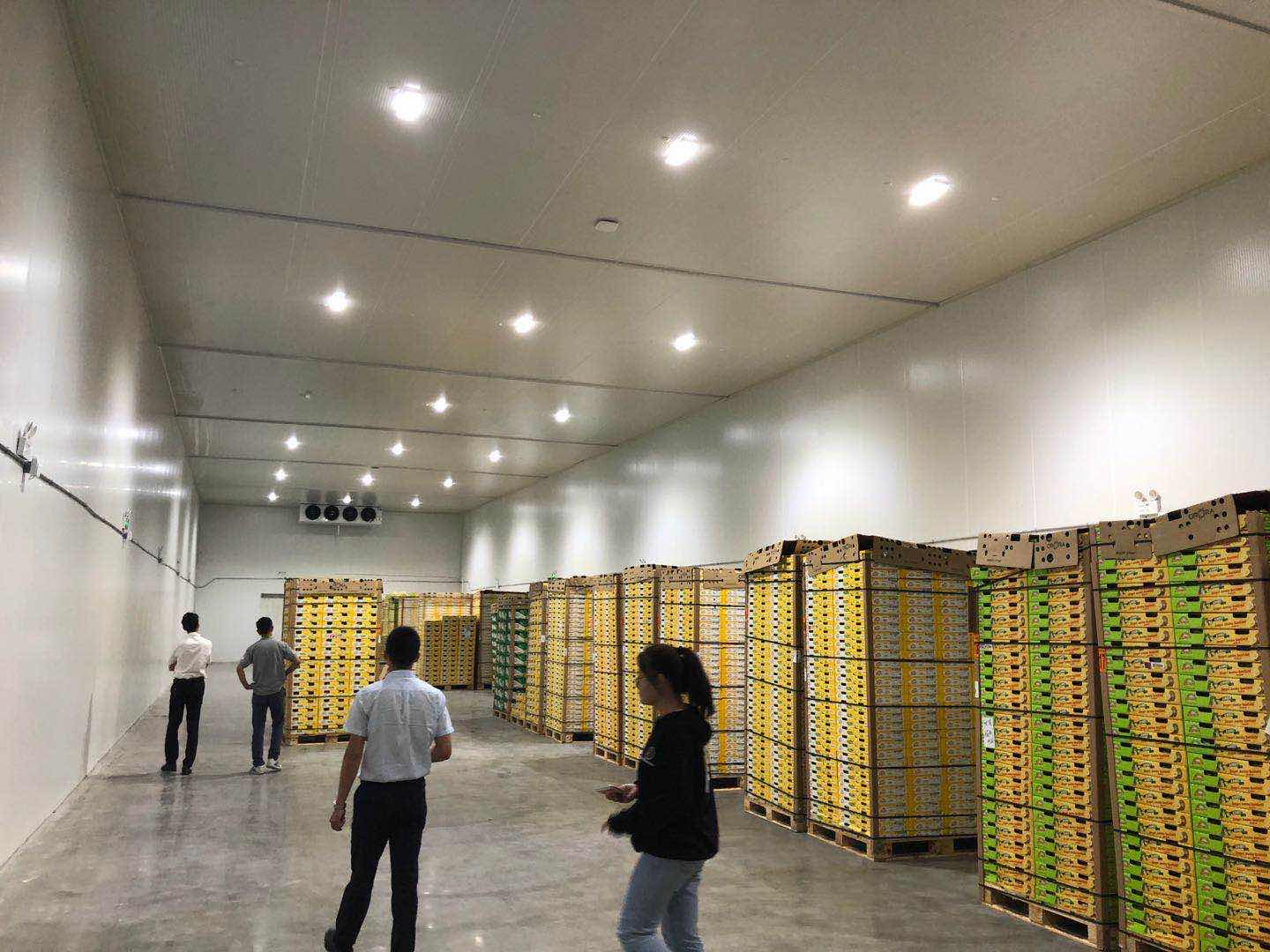 水果冷庫(kù).jpg 水果冷庫(kù).jpg