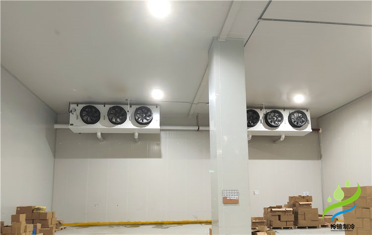 青菜保鮮冷庫(kù)的造價(jià)儲(chǔ)存溫度,又如何能長(zhǎng)久儲(chǔ)存?(圖2) 冷庫(kù)