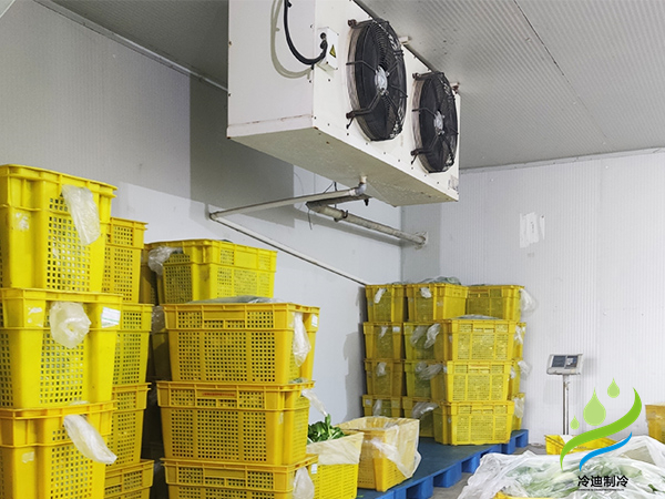 黃瓜保鮮冷庫(kù)